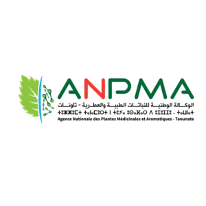INPMA Taounate